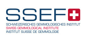certification SSEF